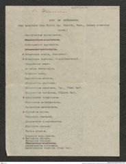 Nachlass Franz Steindachner, Brief von David Starr Jordan an Franz Steindachner (25.09.1895), Inv.Nr. 259.10, Seite 3